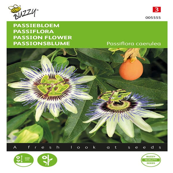 Passiebloem (Passiflora caerulea)