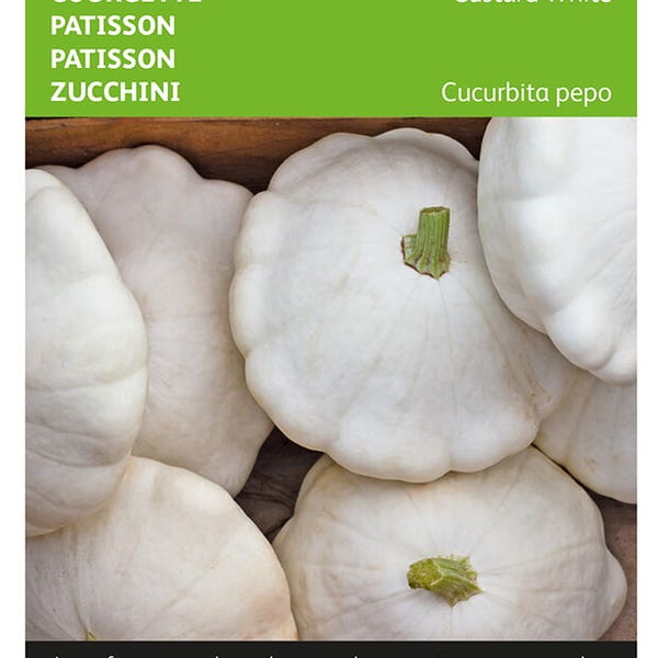 Patisson Custard White