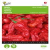 Peper Bhut Jolokia Red