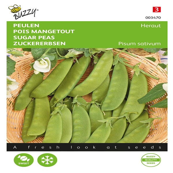 Peulen Heraut