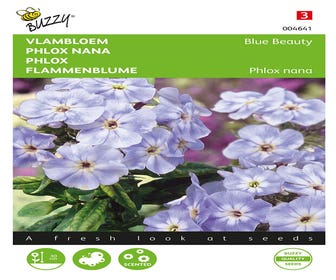 Vlambloem (Phlox nana 'Blue Beauty')