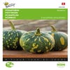 Pompoen Asterix (Panterprint)