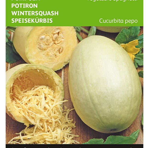 Spaghetti-Kürbis Samen – Gemüsesamen Zum Selbst Anbauen, Pflanzliche Pasta-Alternative