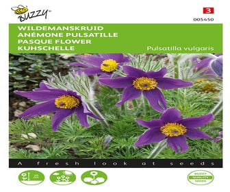 Wildemanskruid (Pulsatilla vulgaris)