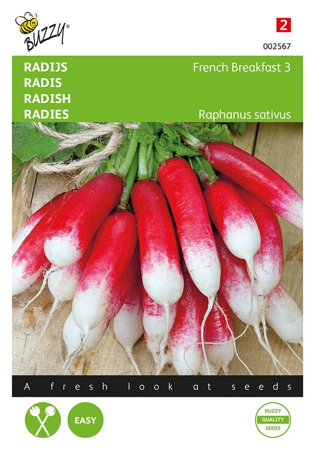 Radijs