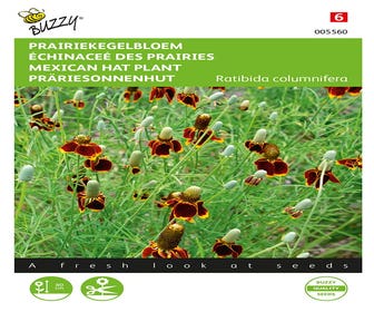 Prairiekegelbloem ( Ratibida columnifera)