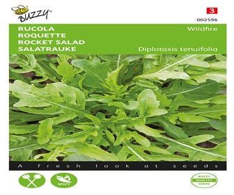 Rucola Wasabi