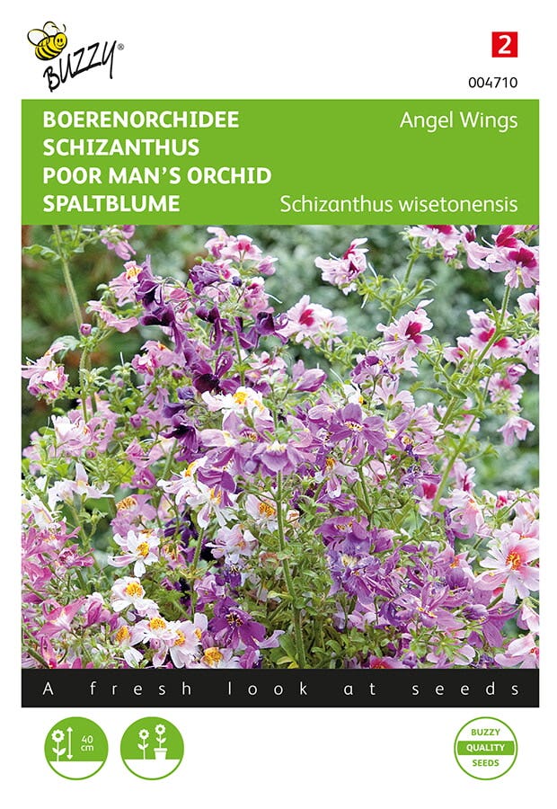 Boerenorchidee