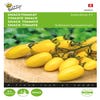 Snacktomaat Dattolime F1