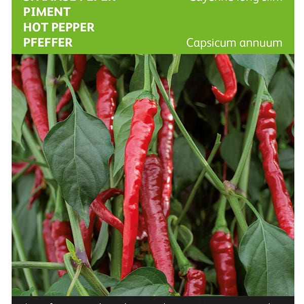 Organic Peper Cayenne Long Slim zaden Organic Peper Cayenne Long Slim zaden