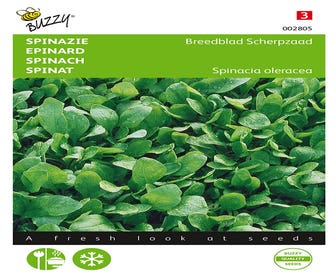 Spinazie Breedblad Scherpzaad