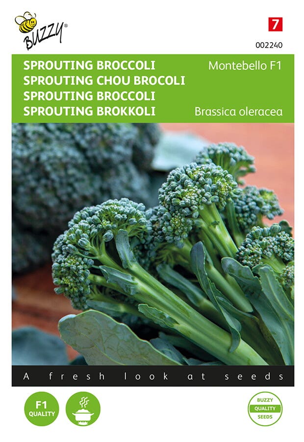 Broccoli