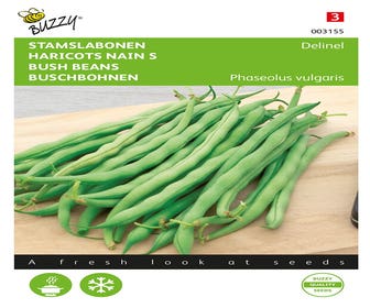 Stamslabonen Delinel