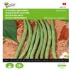 Stamslabonen Sonate