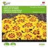 Lage Afrikaan (Tagetes patula nana 'Naughty Marietta')