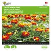 Lage Afrikaan ( Tagetes patula nana 'Harmony')