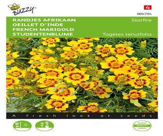 Randjes Afrikaan (Tagetes tenuifolia 'Starfire')