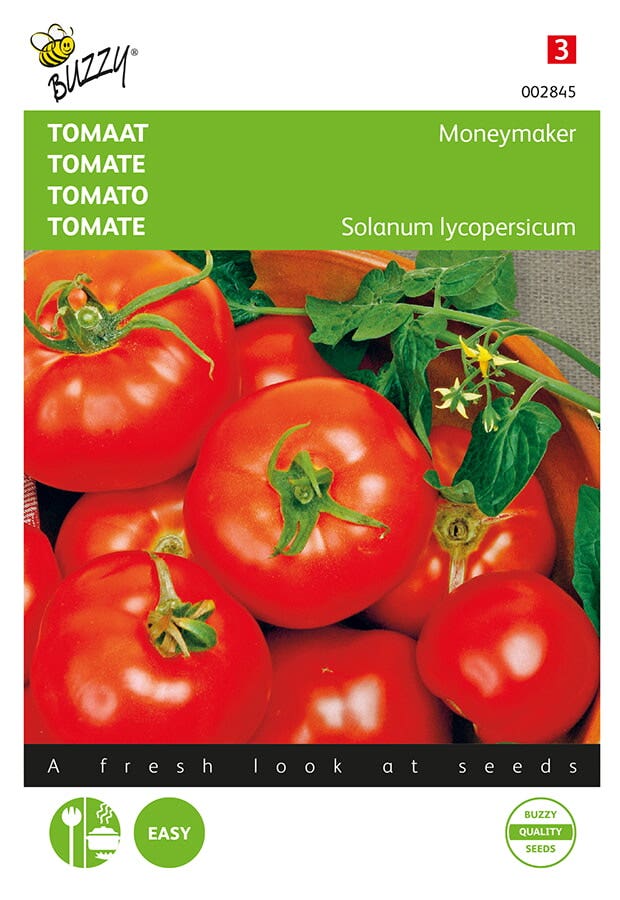Solanum