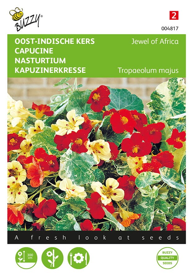 Tropaeolum majus 'Jewel'