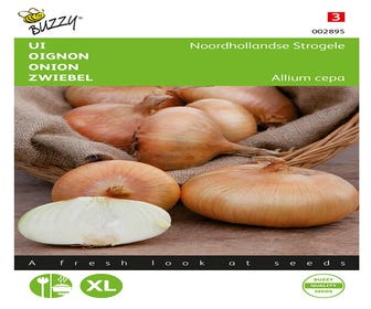 Ui Noordhollandse Strogele