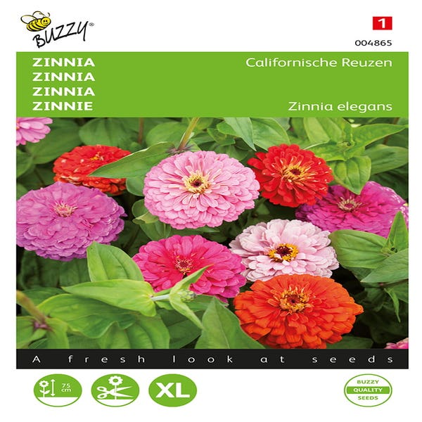  Zinnia Californische Reuzen gemengd