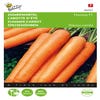 Zomerwortel Flyaway F1