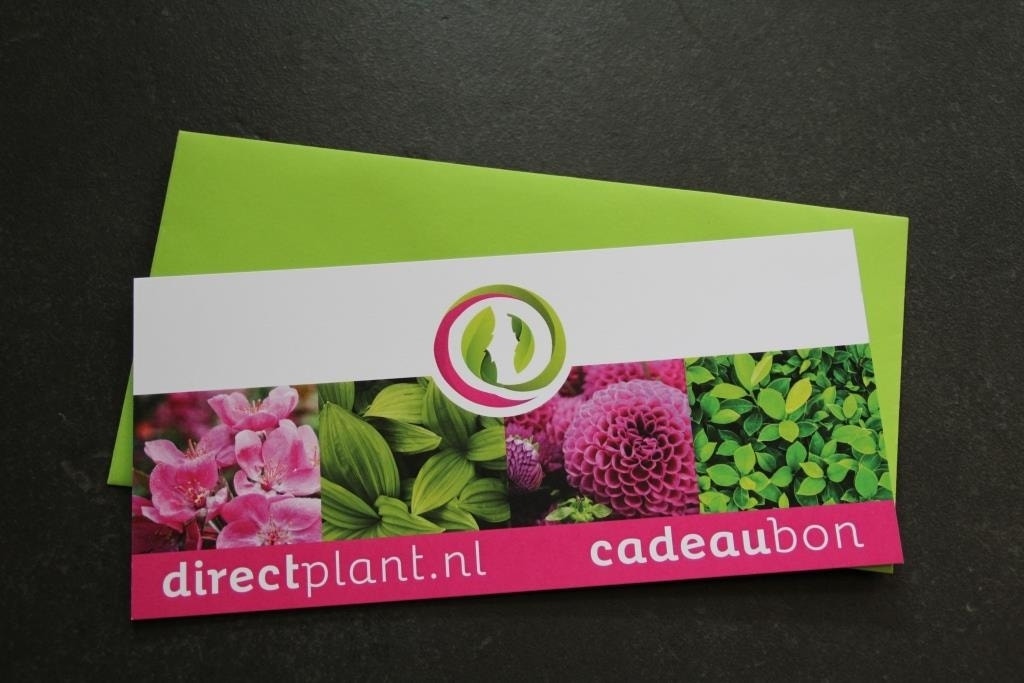 Kadobon - Ter waarde van 50 Euro | Directplant