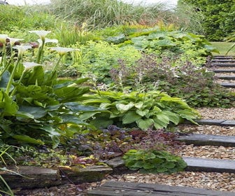 Borderpakket natte border 