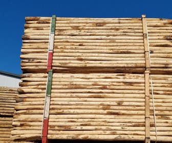Boompalenset Kastanjehout 250cm lengte (2 palen incl. band en nagels!)