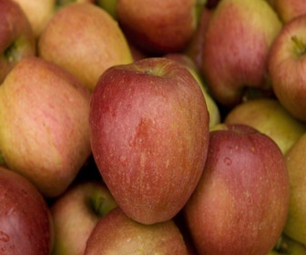 Lei-Appel (Malus domestica 'Braeburn')