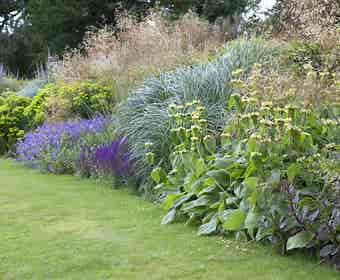 Borderpakket Onderhoudsvriendelijk (3 M²)