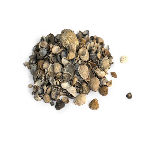 Schelpen 8-16 MM 20 KG