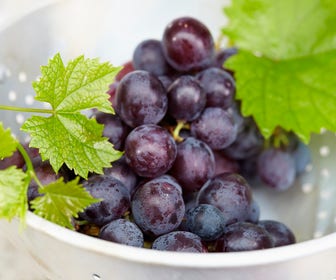 Blauwe druif (Vitis vinifera 'Muscat Bleu')