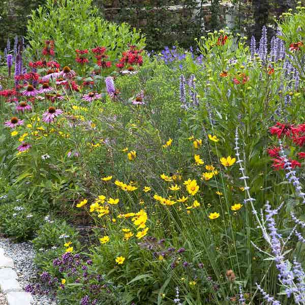 Borderpakket Vlindertuin (4,5 M²)