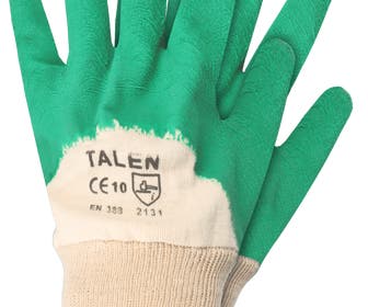 Rozen Handschoenen