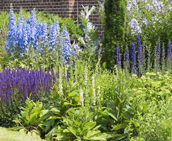 Borderpakket Zomer in Blauw, Violet en Wit (4,5 M²)