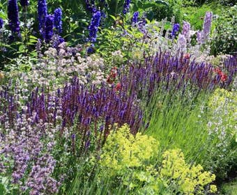 Borderpakket Zomer in Blauw en Groengeel (2 M²)