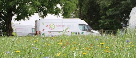 Wij bezorgen CO2 neutraal