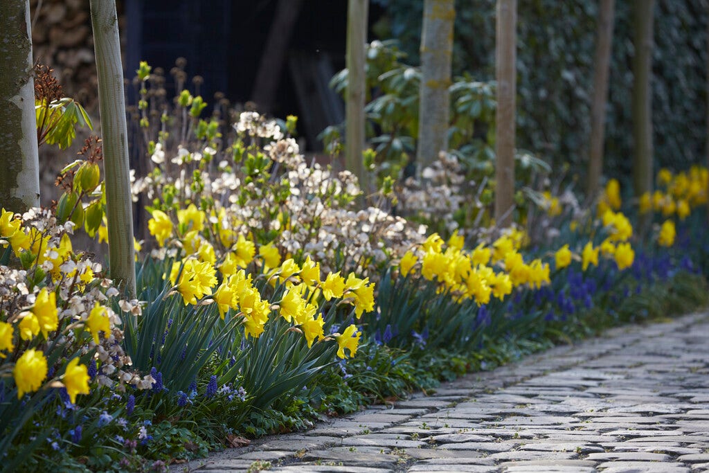 Start het nieuwe tuinseizoen vandaag