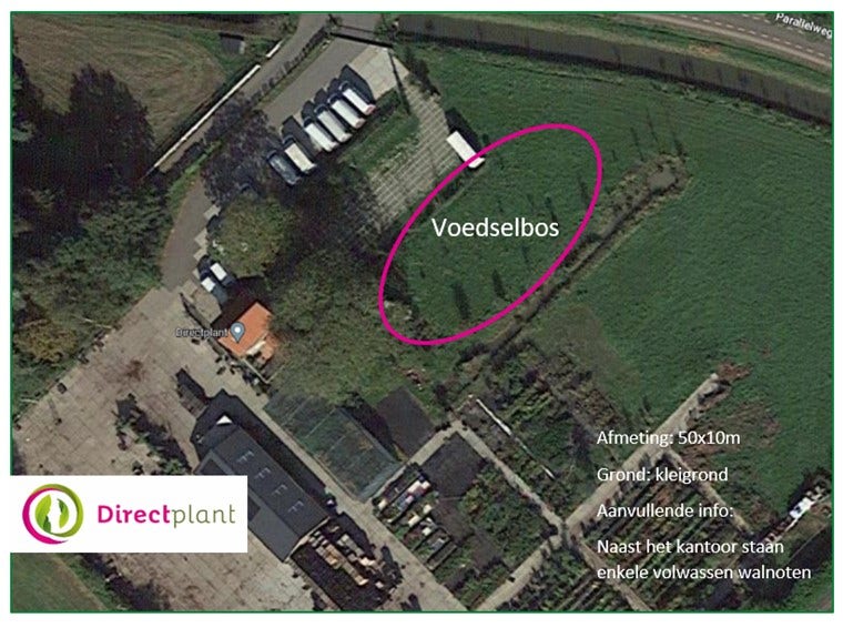Voedselbos bij Directplant in Bunnik