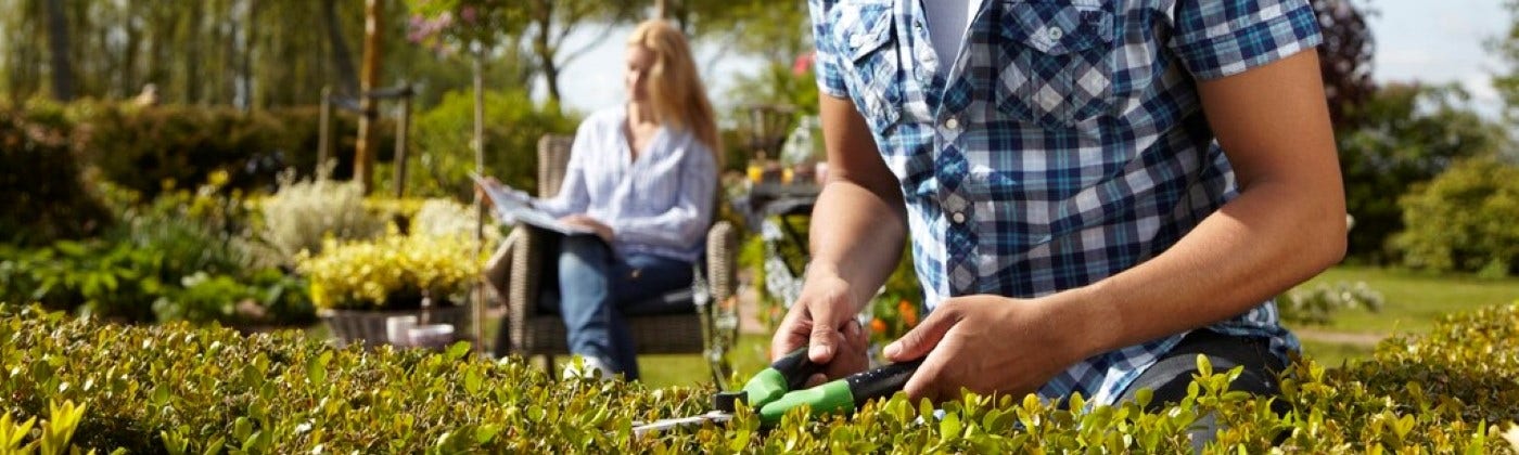 Hoveniers en Tuinontwerpers