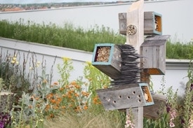 Bijen in de tuin - insectenhotel - Chelsea Flower Show