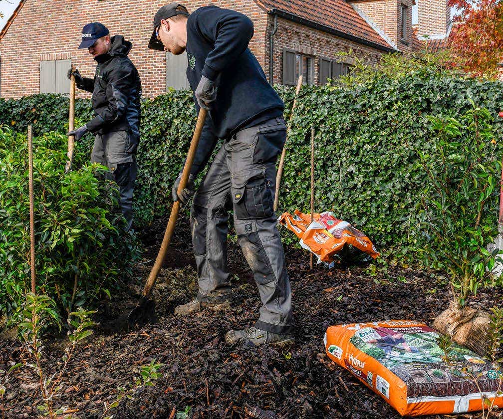 Aanplanten in de herfst