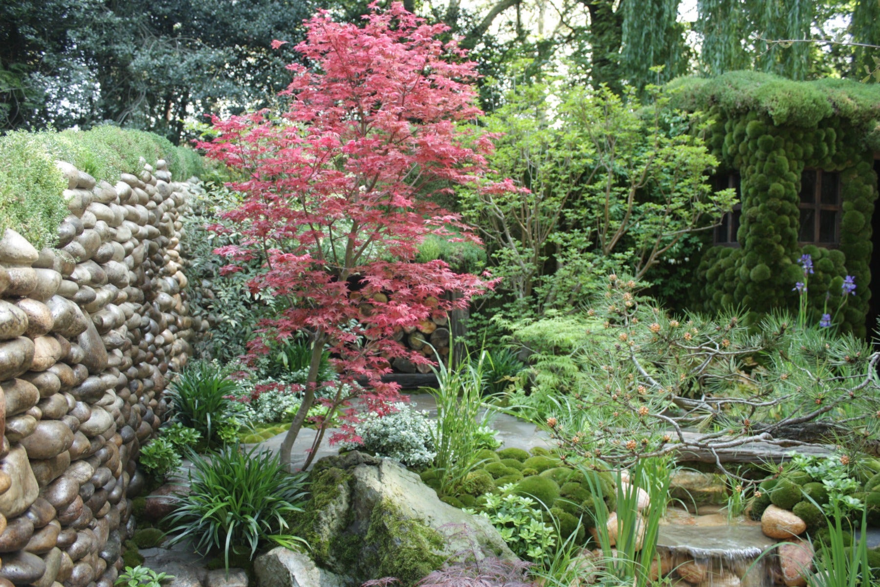 Japanse tuin overzicht
