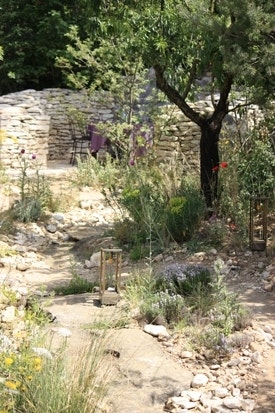 Mediterrane tuin