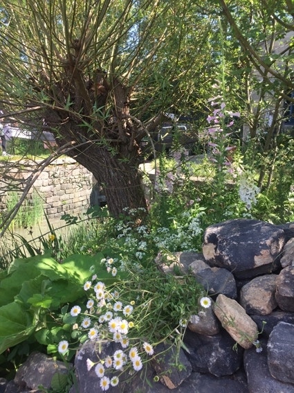 Natuurlijke duurzame tuin - biodiversiteit