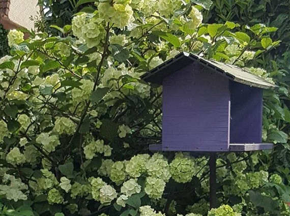Vogelvriendelijke tuin