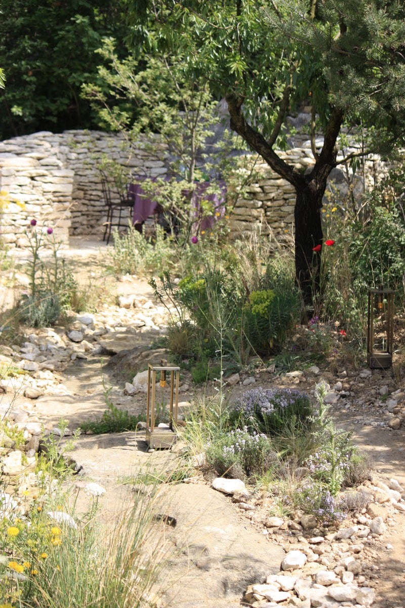 Mediterrane tuin
