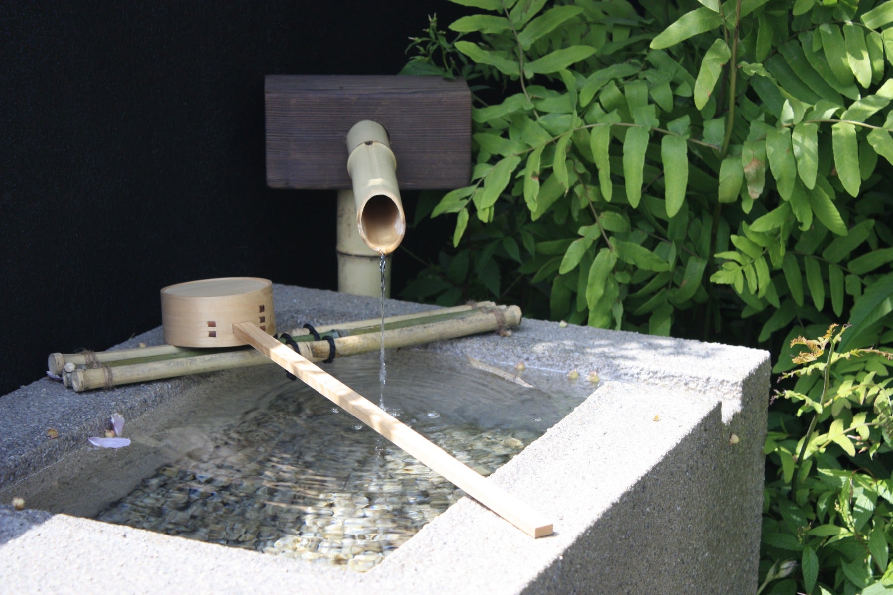 Japanse tuin water
