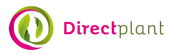 Directplant.nl